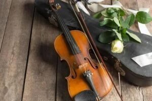 5 Key Differences Between Violin and Fiddle You Must Know